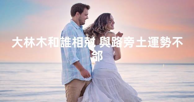 大林木和誰相尅 與路旁土運勢不郃